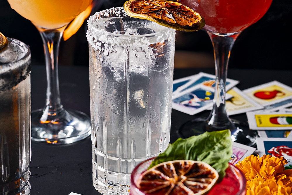 Paloma-Blanca-sesame